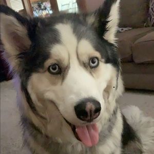 Meet your Posher, Aldin